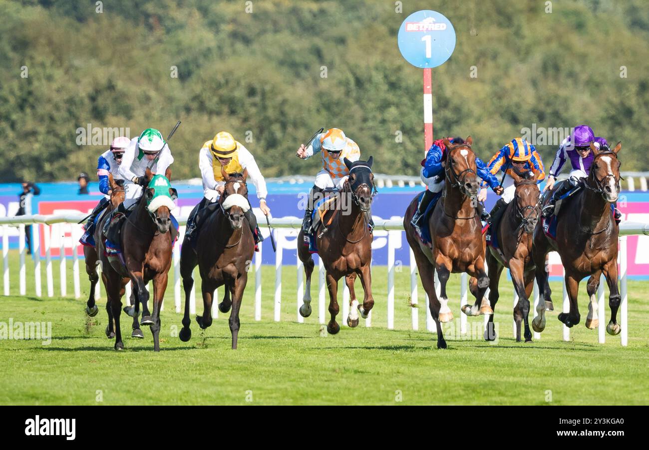 Doncaster Racecourse, Samstag, 14. September 2024. Jan Brueghel und Jockey Sean Levey gewinnen den 248. Lauf der St Leger für Trainer Aidan O’Brien und Besitzer Westerberg, Mrs. J Magnier, Michael Tabor & Derrick Smith. Credit JTW equine Images / Alamy Live News. Stockfoto