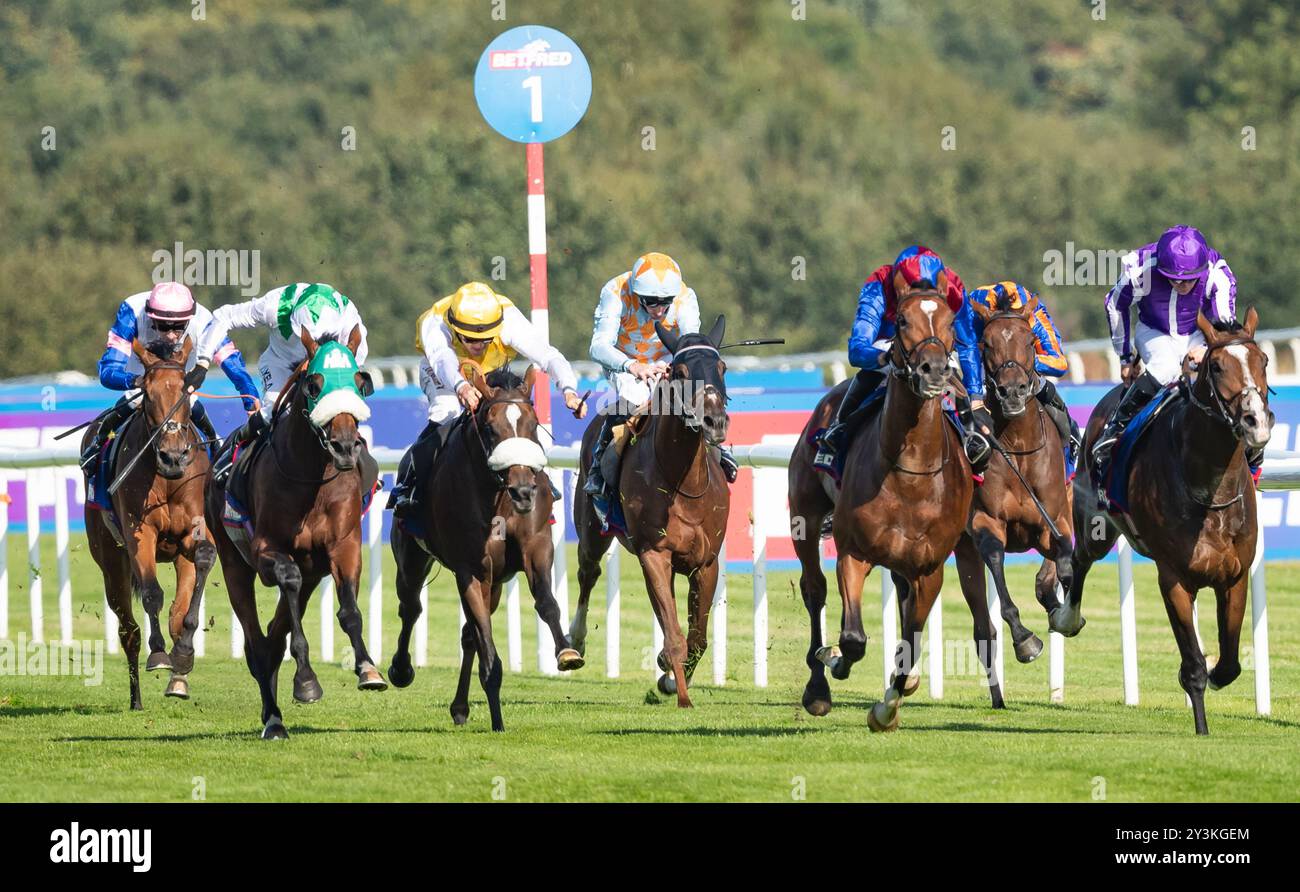 Doncaster Racecourse, Samstag, 14. September 2024. Jan Brueghel und Jockey Sean Levey gewinnen den 248. Lauf der St Leger für Trainer Aidan O’Brien und Besitzer Westerberg, Mrs. J Magnier, Michael Tabor & Derrick Smith. Credit JTW equine Images / Alamy Live News. Stockfoto