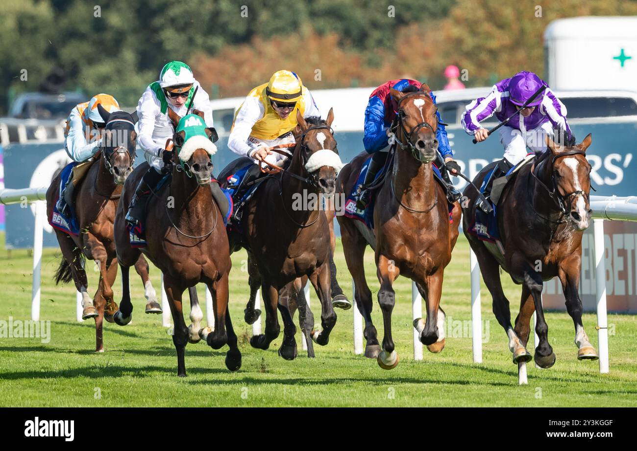 Doncaster Racecourse, Samstag, 14. September 2024. Jan Brueghel und Jockey Sean Levey gewinnen den 248. Lauf der St Leger für Trainer Aidan O’Brien und Besitzer Westerberg, Mrs. J Magnier, Michael Tabor & Derrick Smith. Credit JTW equine Images / Alamy Live News. Stockfoto