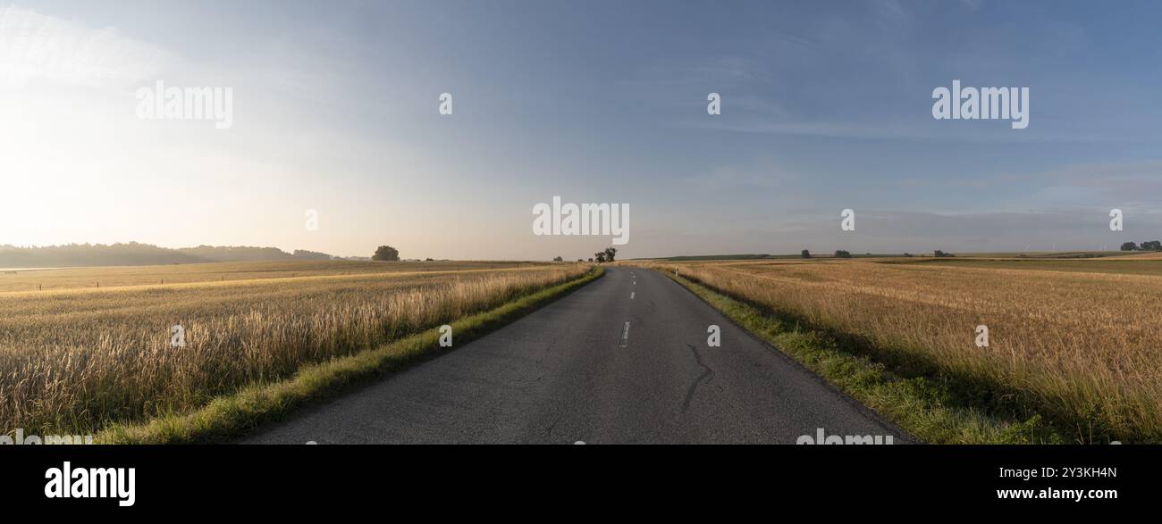 Landwirtschaftliche Landschaft mit grünen Straße von Korn Felder unter der Sonne umgeben Stockfoto