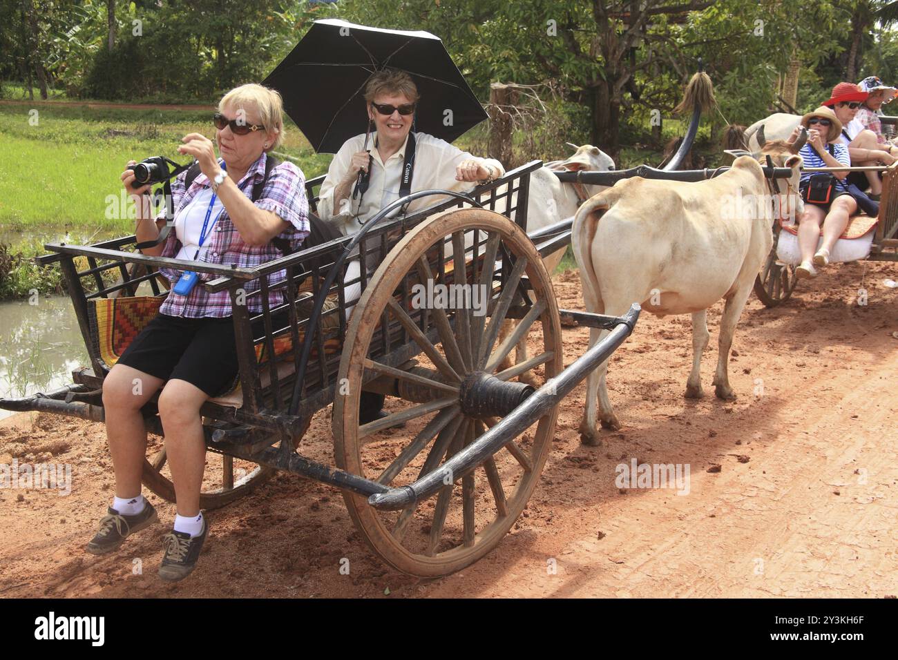 Touristen im Ochsendiagramm Stockfoto
