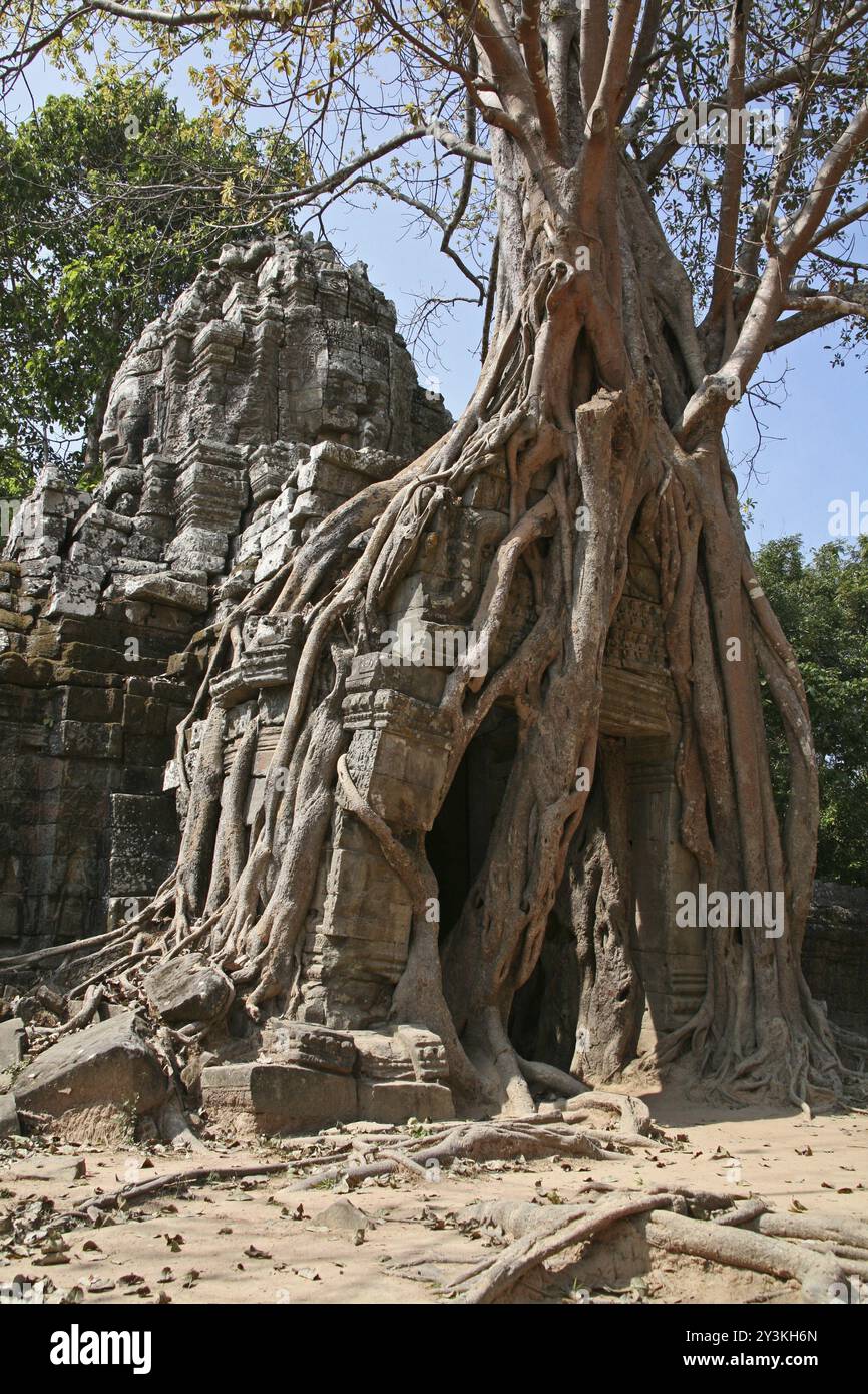 TA Som Tempel in Angkor, Kambodscha, Asien Stockfoto