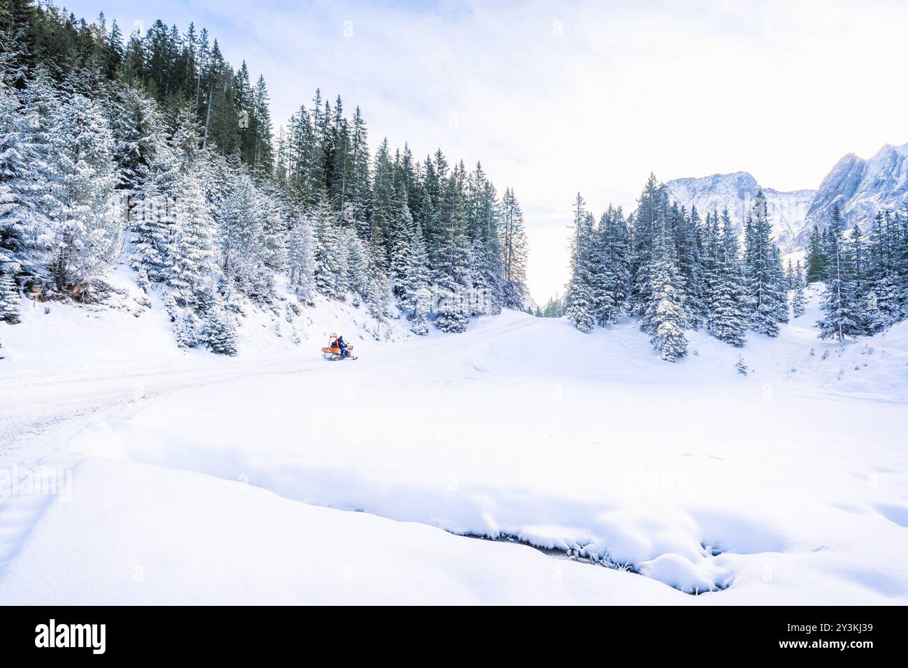 Wunderschöne Winterlandschaft mit Tannenwäldern, den Gipfeln der österreichischen Alpen und einer Straße, alles mit Schnee bedeckt, an einem sonnigen Dezembertag Stockfoto