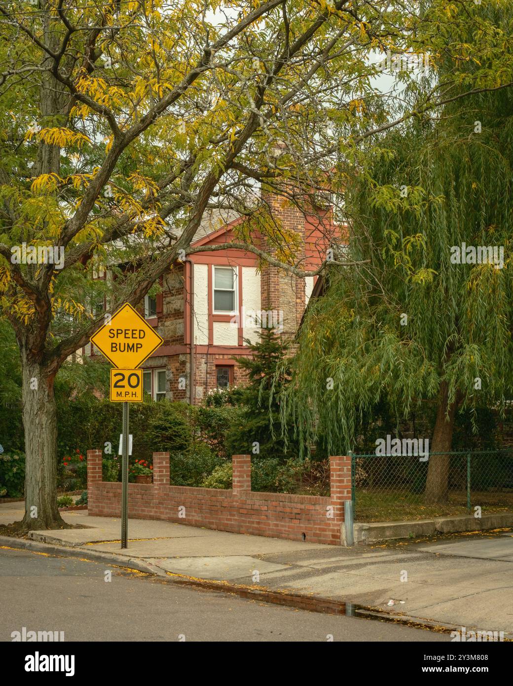 Bäume in Rego Park, Queens, New York Stockfoto