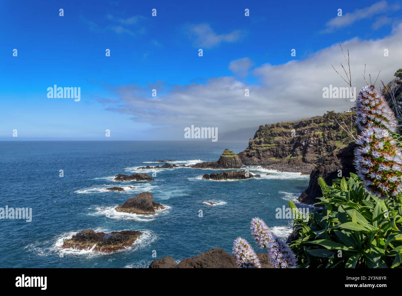 Steile Küste bei Seixal auf Madeira, Portugal. Stockfoto