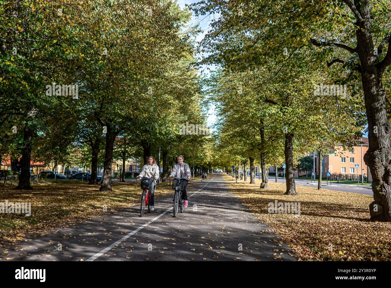 Radfahrer auf der Südpromenade in Norrköping, Schweden. Die Promenaden in Norrköping wurden von der Ringstraße in Wien und den Boulevards in Paris inspiriert. Stockfoto