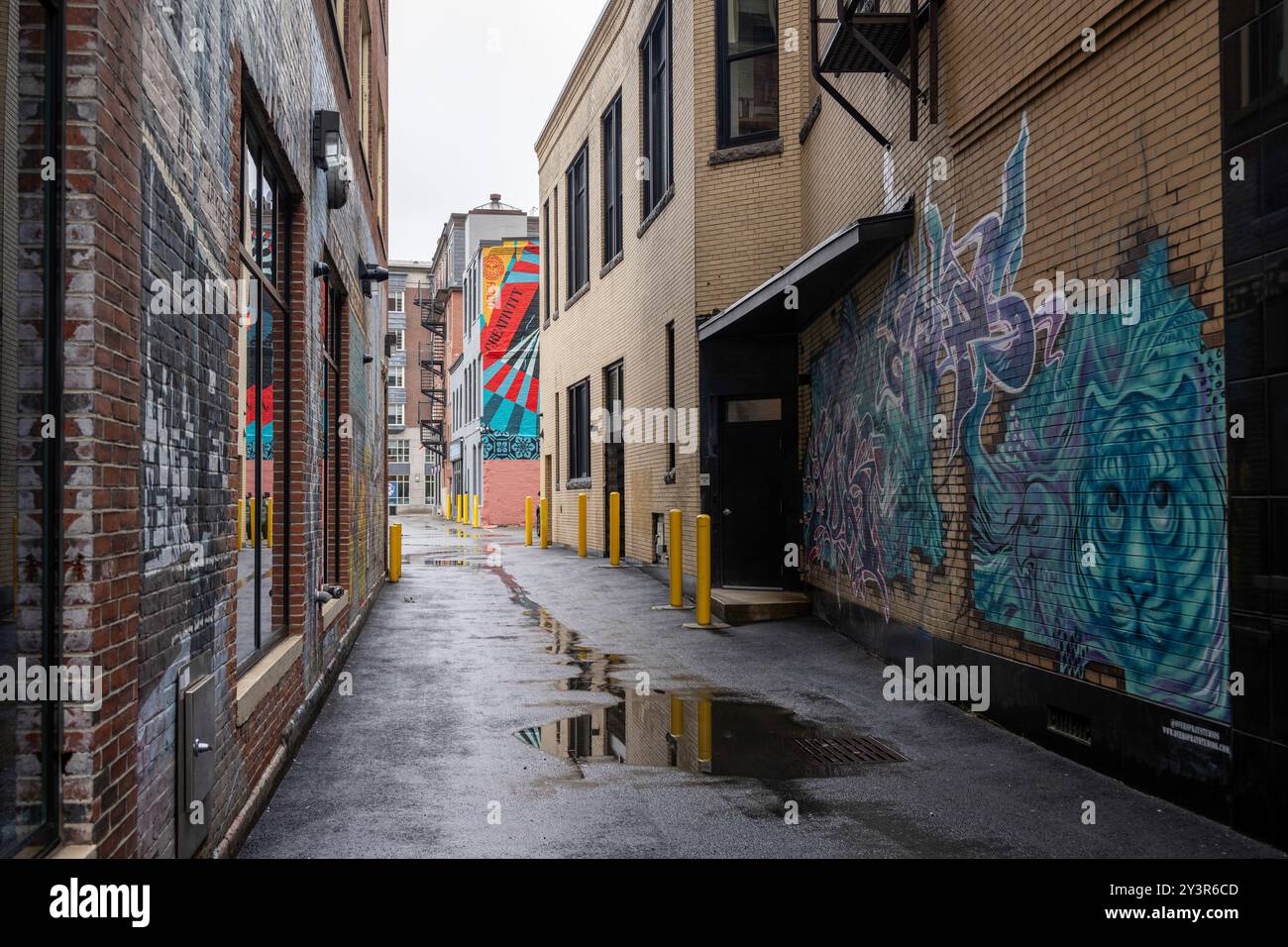 Westminster Street Rhode Island im Regen. Verregnete Straßen und Straßen Providence Stockfoto