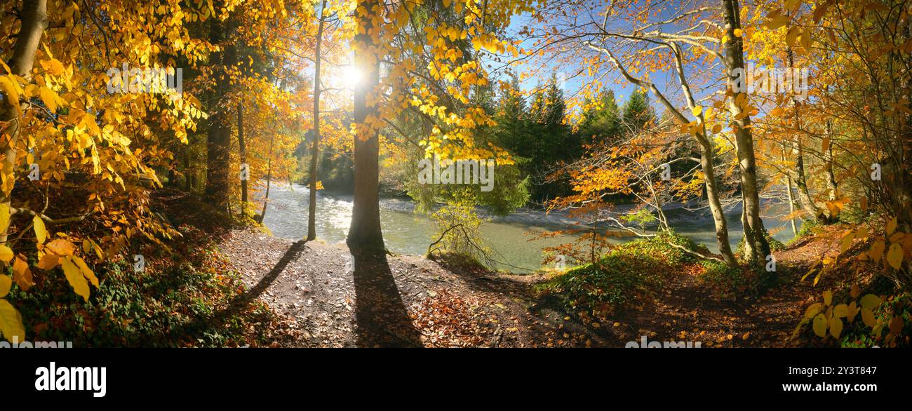 Herrliches hintergrundbeleuchtetes Flusspanorama im Herbst mit goldenen Ästen, die in der Sonne über dem Fluss hängen und das Wasser umrahmen Stockfoto