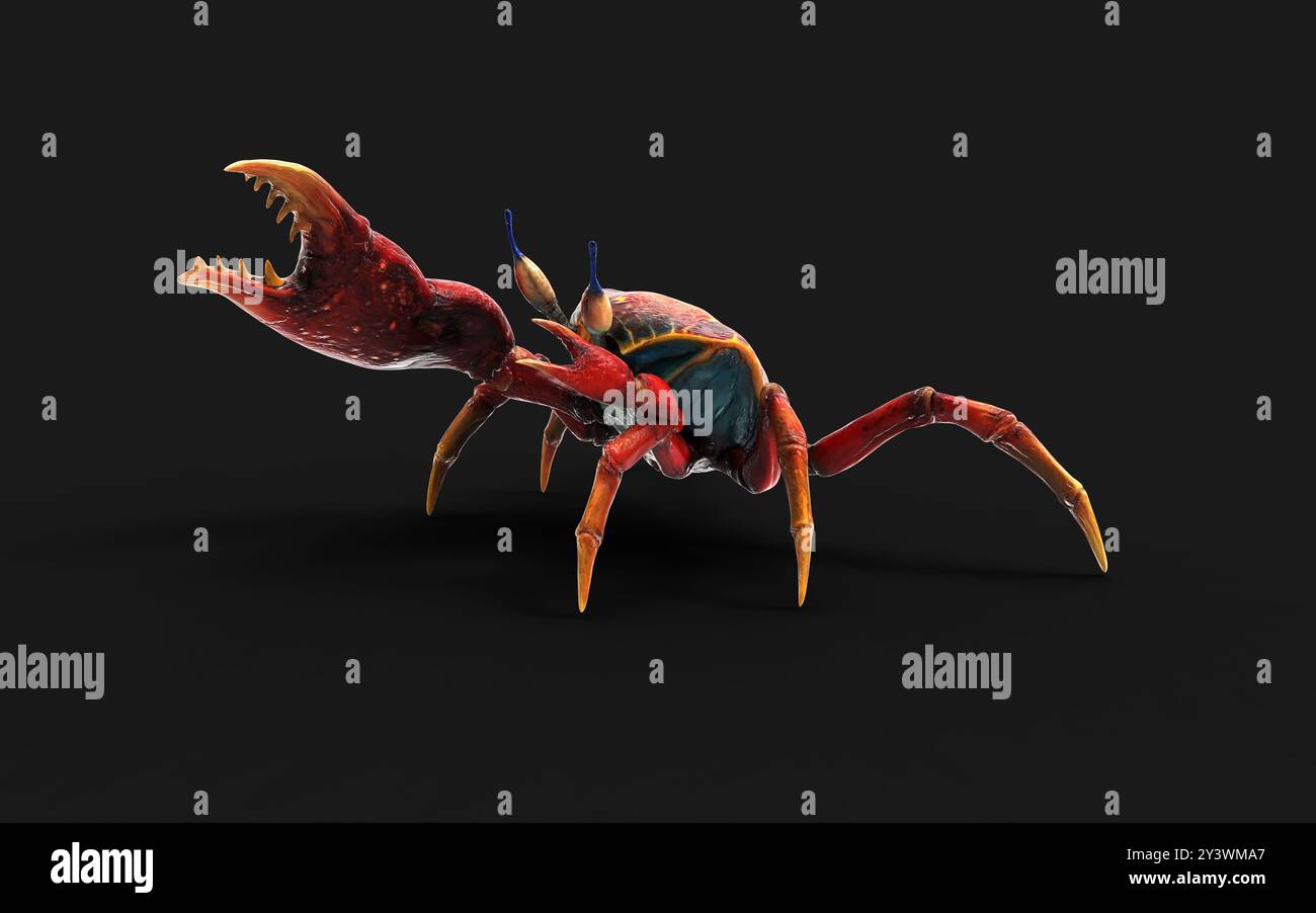 3D-Abbildung einer Fiddler-Krabbe. Ein starker Panzer zum Schutz und eine riesige orangefarbene Klaue als Waffe zur Verteidigung, Makrofoto auf schwarzem Hintergrund Stockfoto