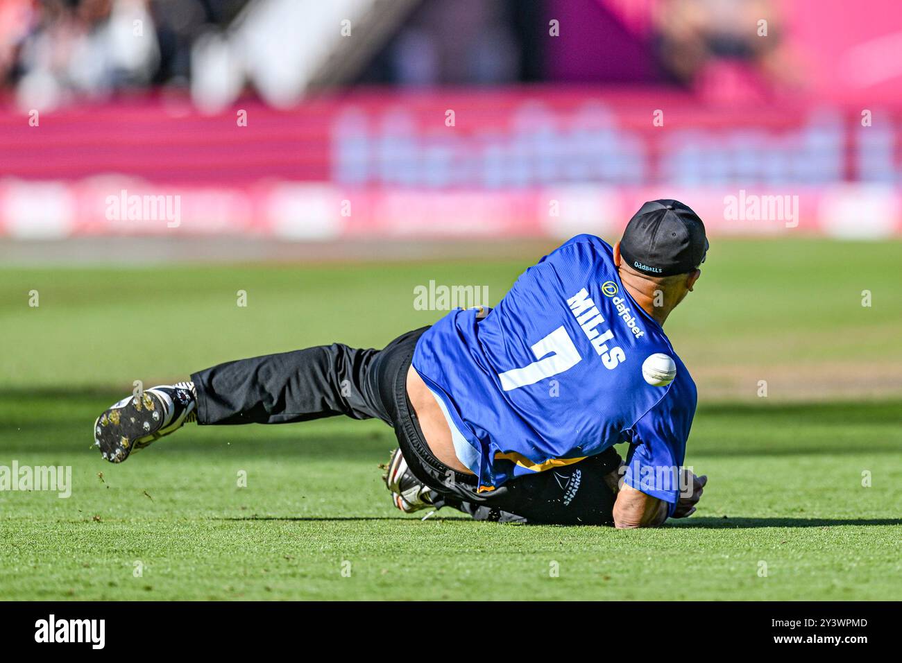 Edgbaston, Birmingham, Großbritannien. September 2024. Vitality Blast T20 League Cricket Finals Day; Halbfinale, Gloucester, Sussex; Tymal Mills of Sussex taucht ab, hält aber den Ball nicht auf Credit: Action Plus Sports/Alamy Live News Stockfoto