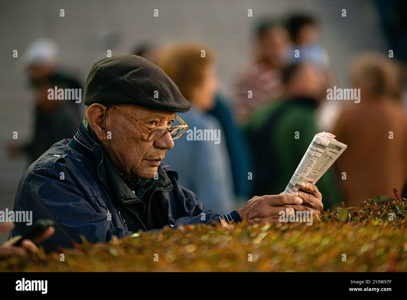Ältere Männer analysieren Rennen, um Wetten auf dem Palermo Hippodrom in Buenos Aires zu platzieren. Stockfoto