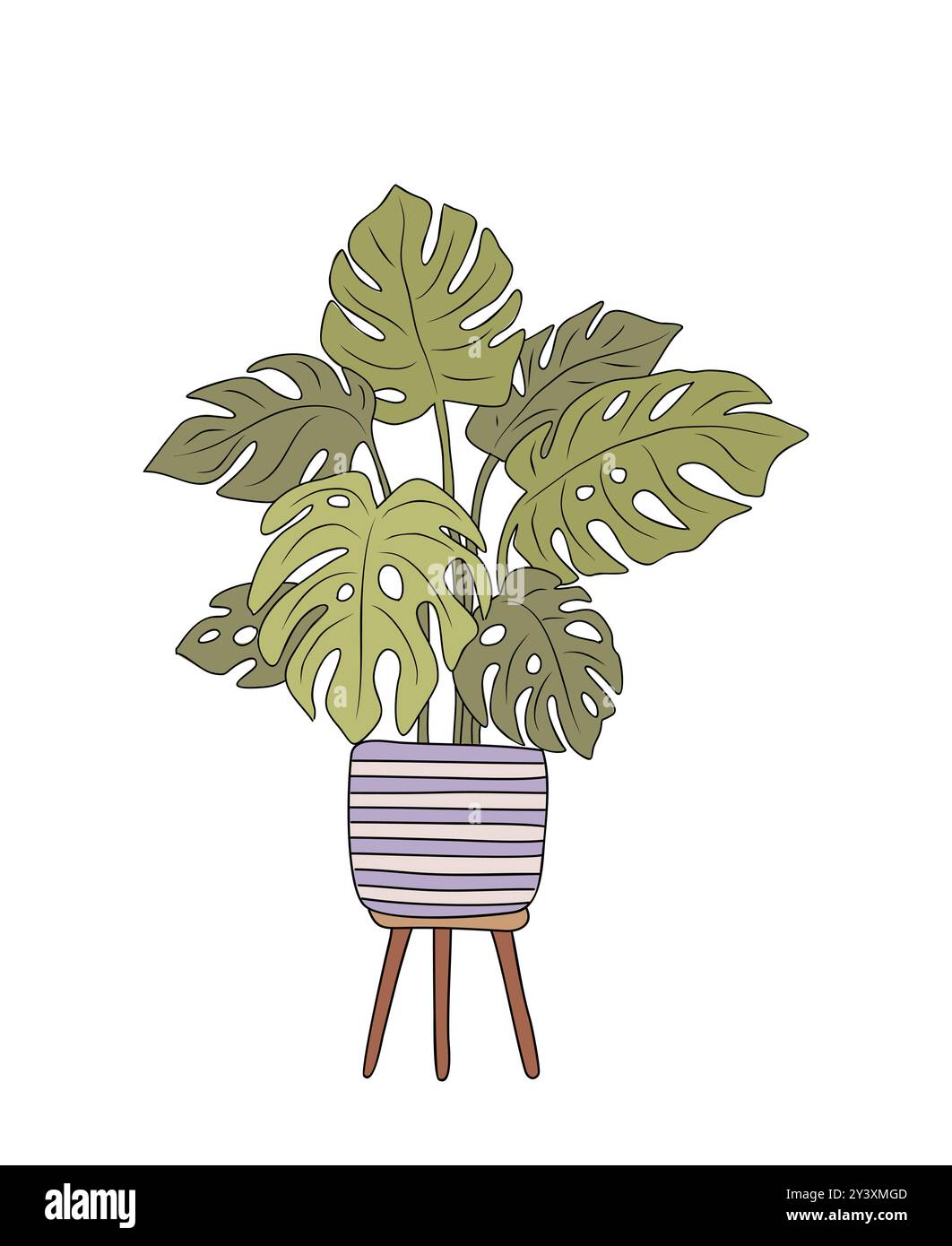 Monstera Home Pflanze farbige Umrissvektorzeichnung Stock Vektor
