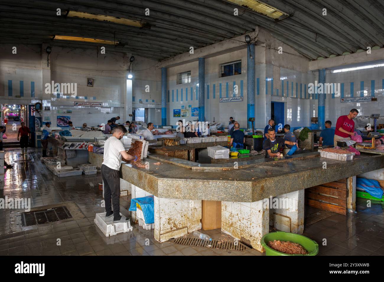 Blick am frühen Morgen auf den wichtigsten Fischmarkt von Tanger (Marché Central de Poisson), den größten Souk in der Medina. Marokkanischer Markt (Socco). Marokko. Stockfoto