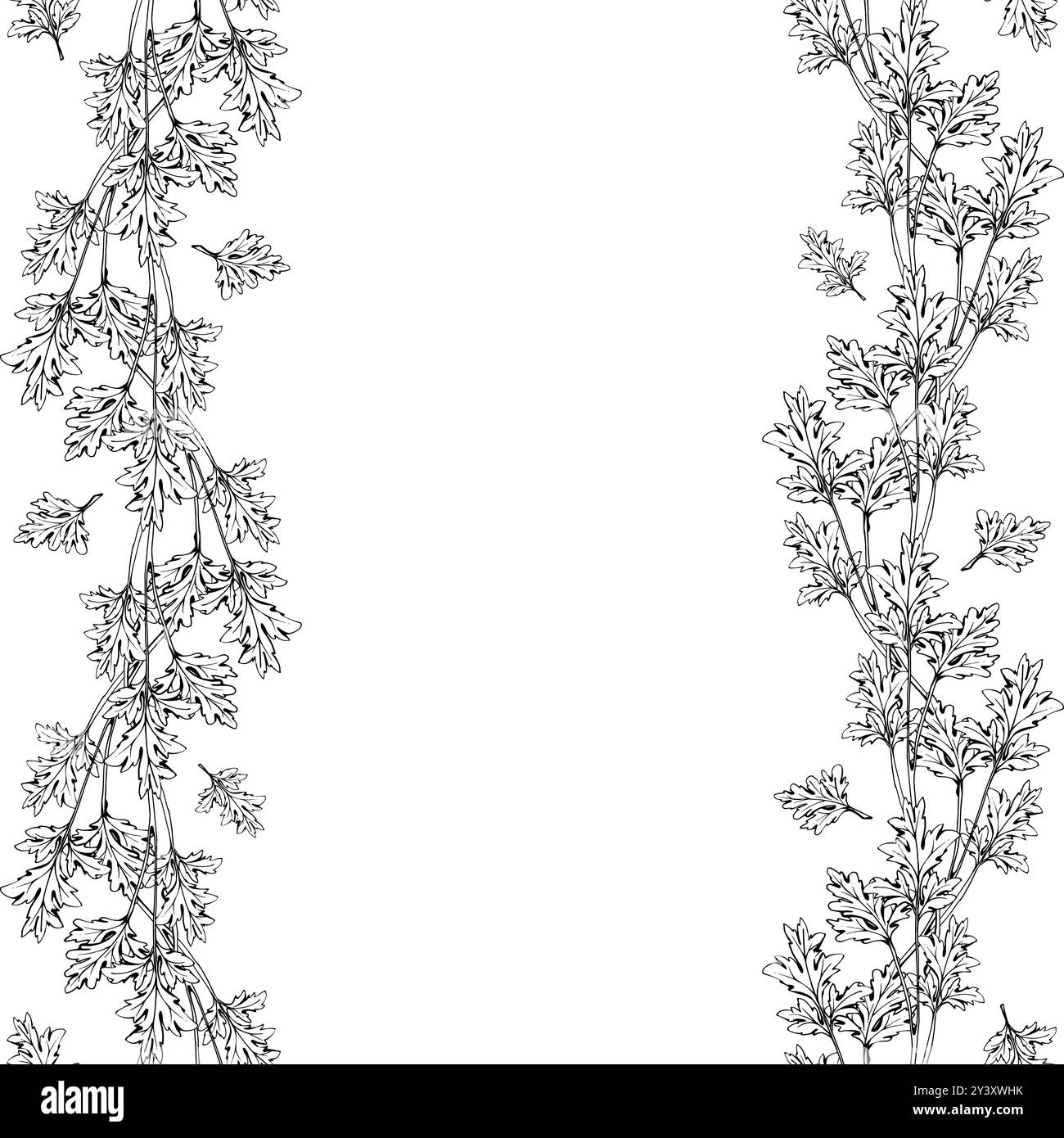 Grüner Koriander Petersilie Kraut für Ernährung und gesunden Lebensstil, veganes Kochen. Handgezeichnete Vektortinte. Abbildung Rahmenrahmen isoliert auf weiß Stock Vektor