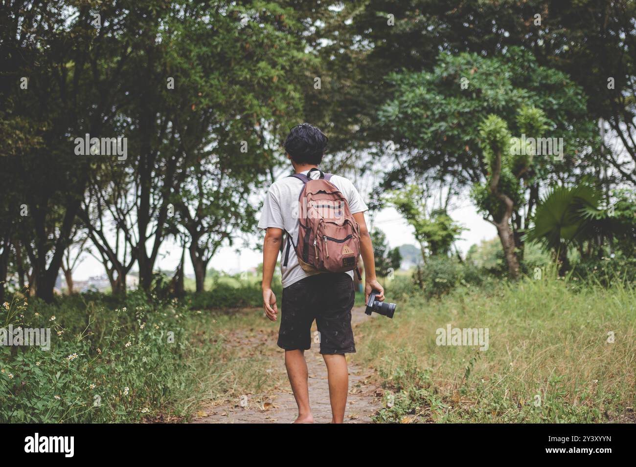 Alleinreisende Rucksacktouristen mit Kamera in der Hand spazieren allein. Rückansicht Foto von Reisenden mit Rucksack und Kamera, die im Freien, Wald, Dschungel mit Blick auf erkunden Stockfoto