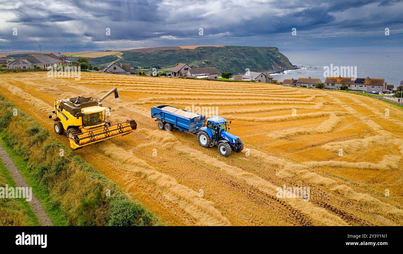 Mähdrescher Gardenstown Aberdeenshire Scotland Harvester im Spätsommer und blauer Anhänger voller Getreide Stockfoto