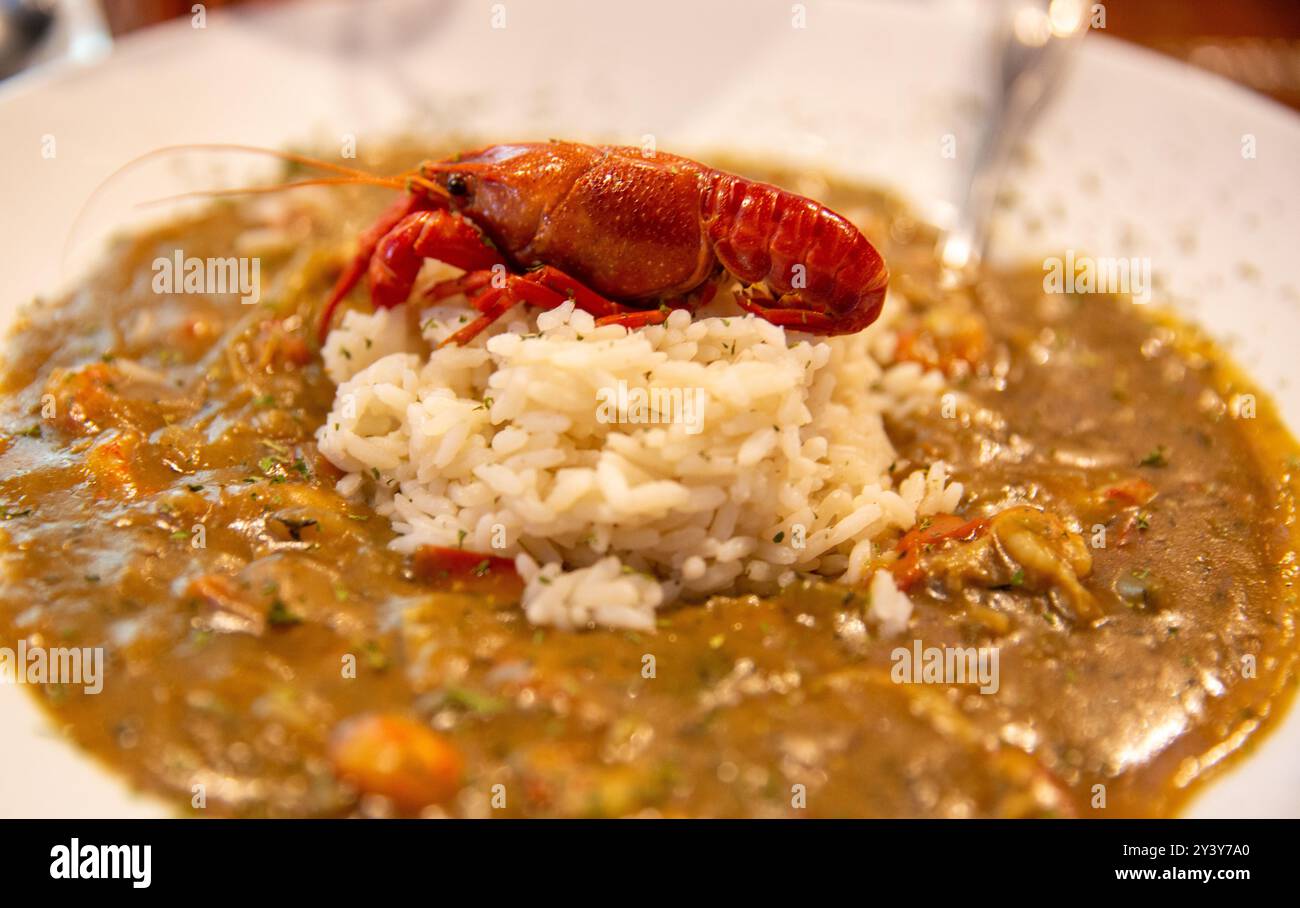 Flusskrebse Etouffee serviert mit Reis Stockfoto