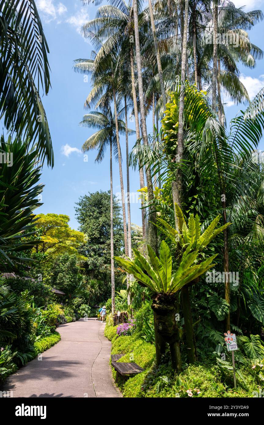 Teil des Botanischen Gartens des 165 Jahre alten tropischen Gartens am Rande des Einkaufsviertels Orchard Road in Singapur. Es ist ein o Stockfoto