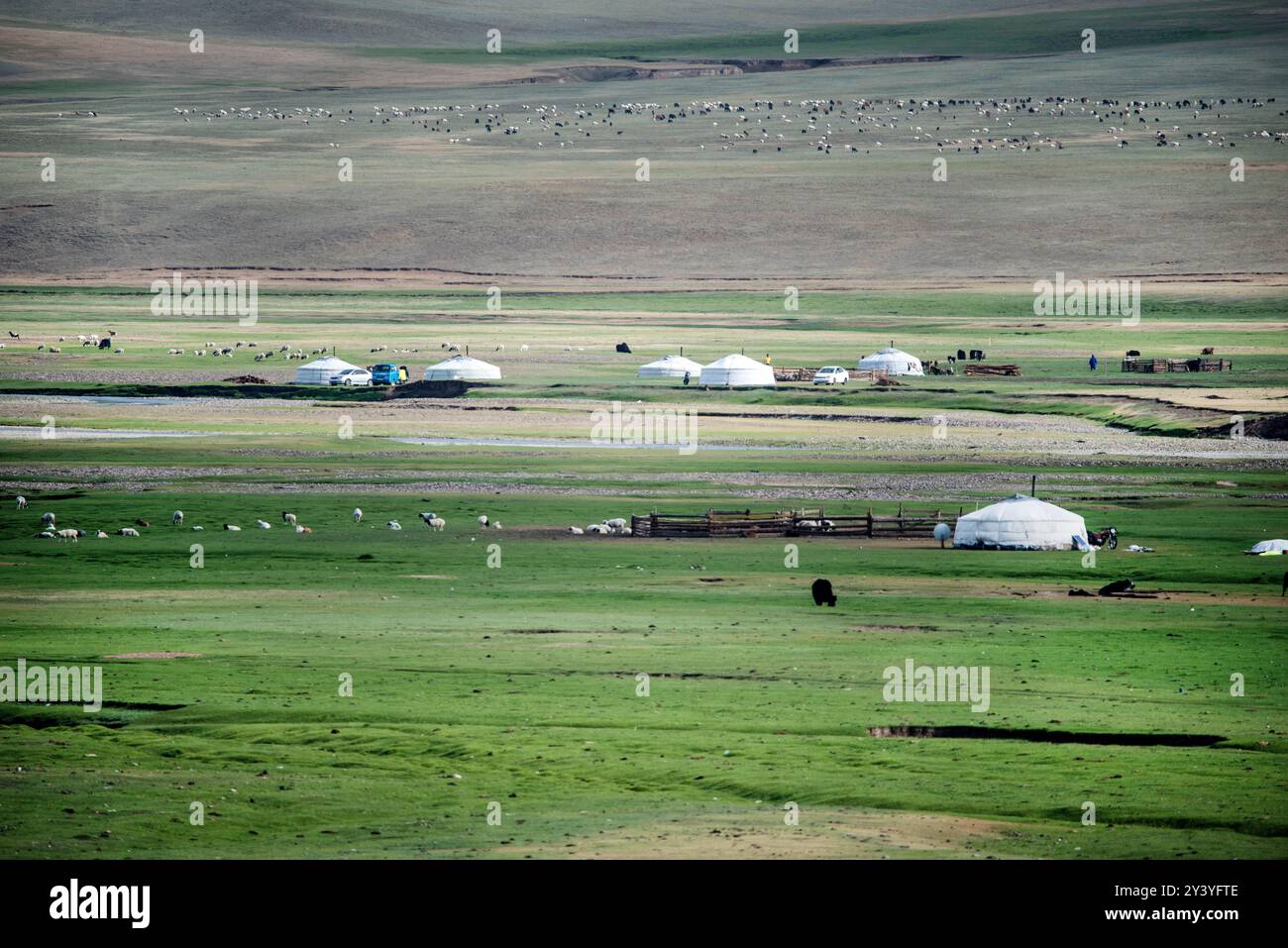 Mongolische Jurte auf dem Grasland. Hochwertige Fotos Stockfoto