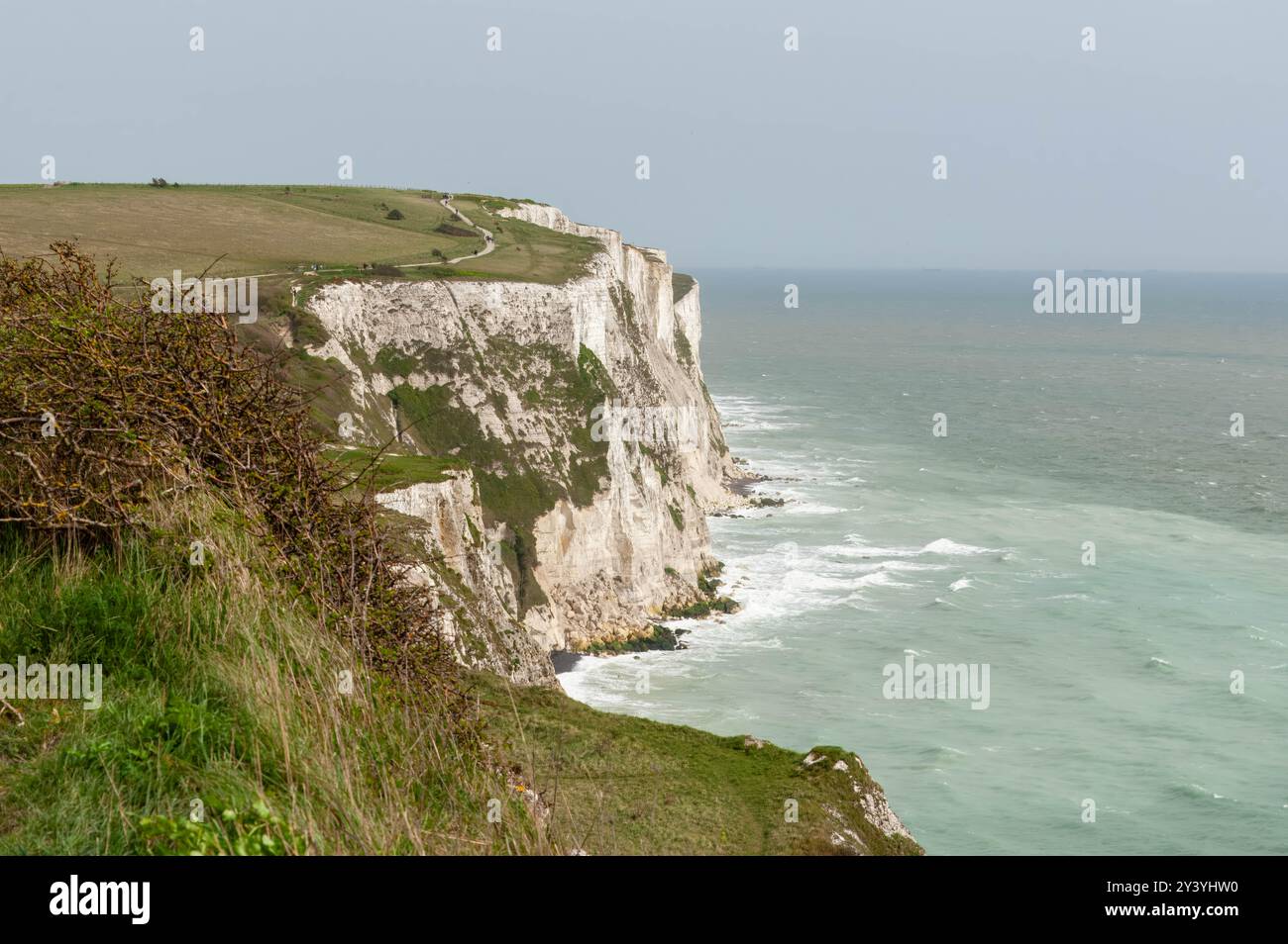 Die weißen Klippen von Dover, Kent, Großbritannien. Stockfoto
