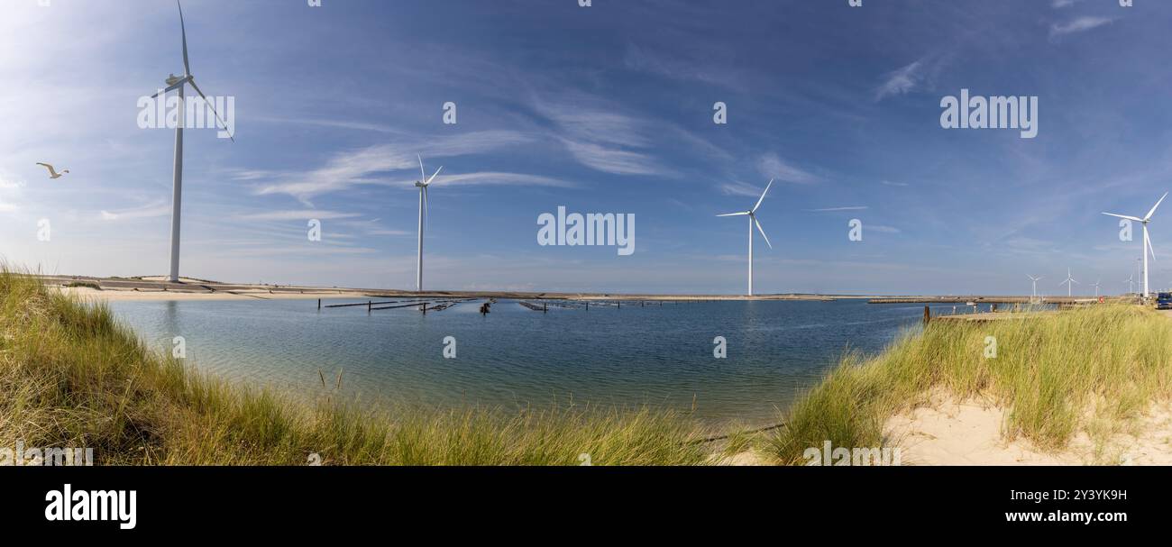 Panoramaaufnahme von Windkraftwerken an der Küste des Bezirks Zeenland im Süden Hollands Stockfoto