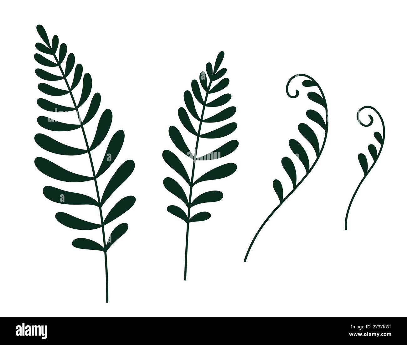 Farnblatt-Doodle-Zeichensatz. Einfache monochrome Silhouettenvektor-Illustration. Stock Vektor