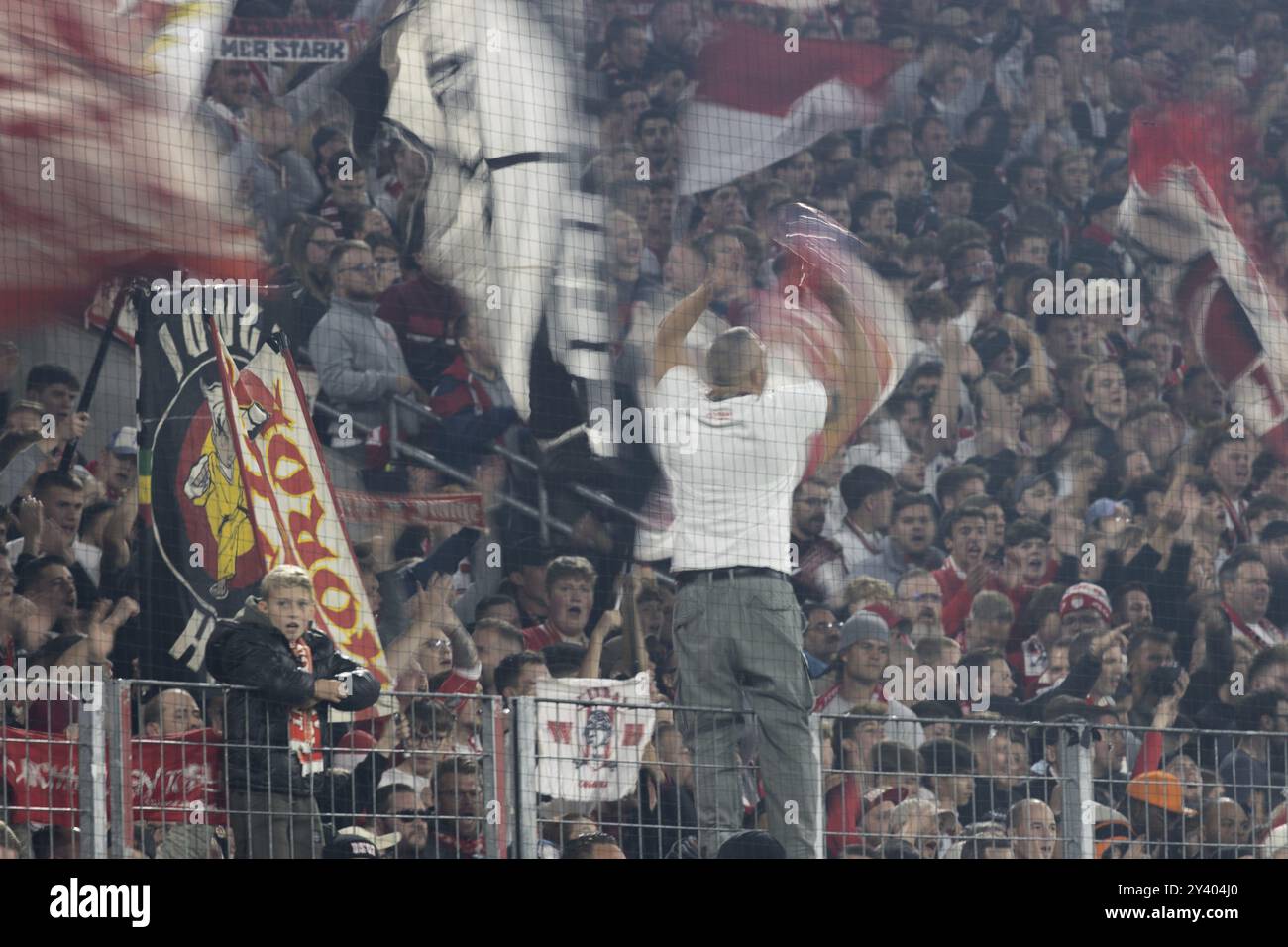 Südkurve Fans, 2. Bundesliga, 1. FC Köln, 1. FC Magdeburg am 14/09/2024 im RheinEnergieStadion in Köln (DFL/DFB-VORSCHRIFTEN PROHIBI Stockfoto