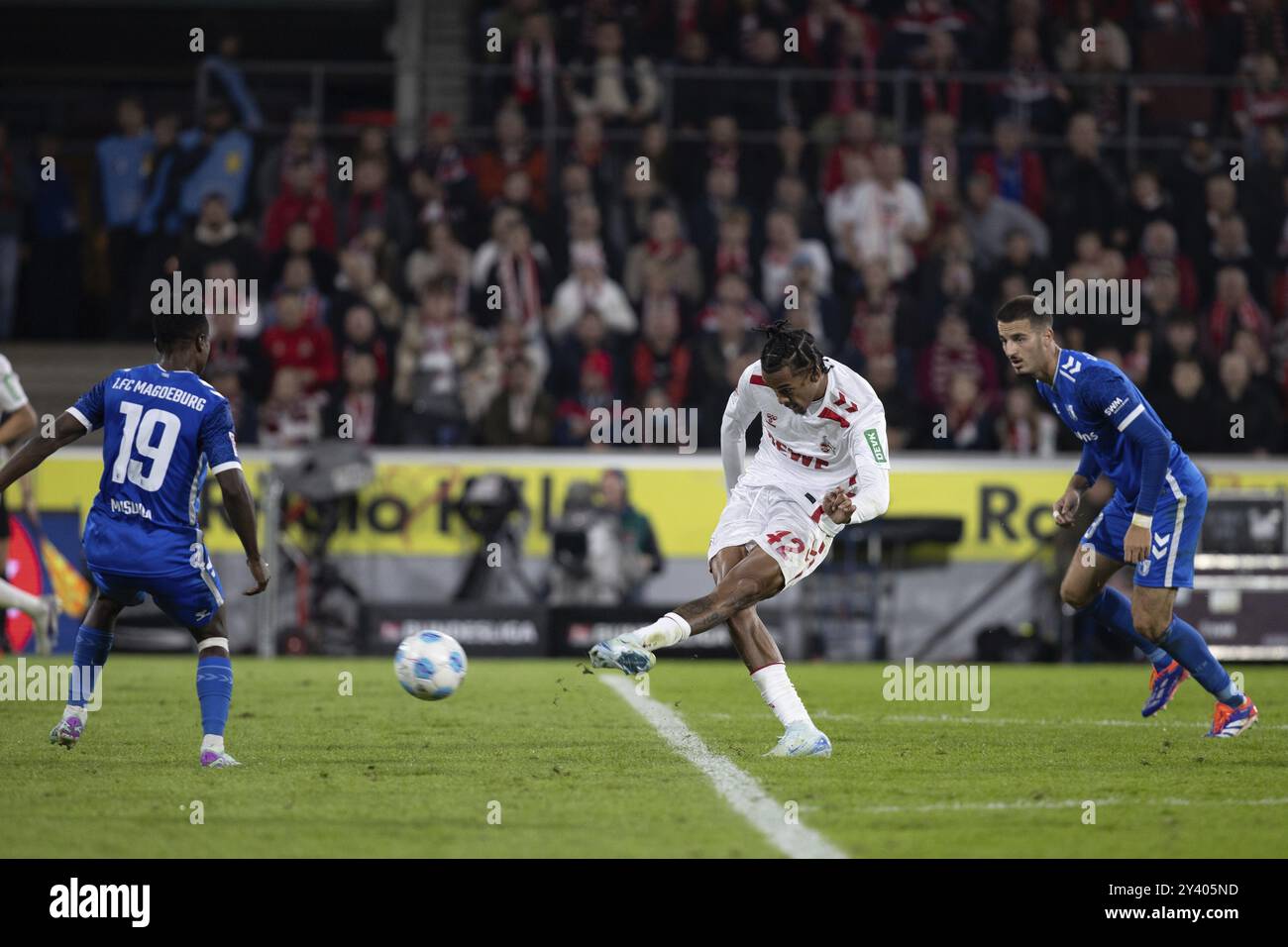 Lubambo Musonda (1. FC Magdeburg, Verteidigung, Nr. 19), Damion Downs (1. FC Köln, Stürmer, #42), 2. Bundesliga, 1. FC Köln, 1. FC Magdeburg am 09/2024 um Stockfoto