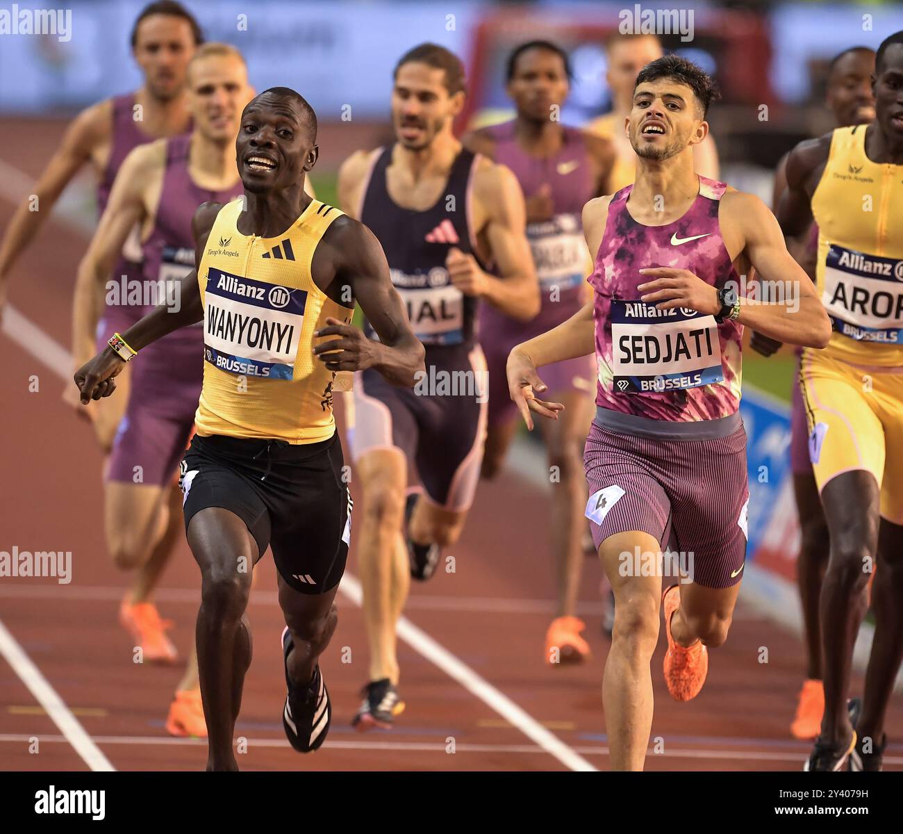 Emmanuel Wanyonyi aus Kenia und Djamel Sedjati aus Algerien traten in den 800-m-Rennen der Männer beim Leichtathletikfinale der Memorial Van Damme Diamond League an Stockfoto