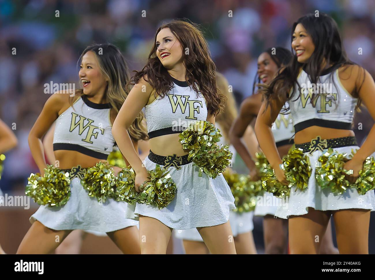 14. September 2024: Wake Forest Dancers. NCAA-Fußballspiel zwischen Ole Miss University und Wake Forest University im AlLegacy Federal Credit Union Stadium, Winston-Salem, North Carolina. David Beach/CSM Stockfoto