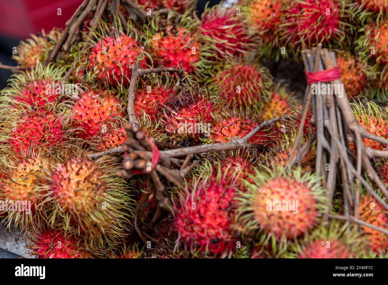 Frisches Litschi auf einem Obst- und Gemüsemarkt in Chinatown, einem historischen Stadtteil von Singapur. Es gibt drei Unterarten der Litschi. Th Stockfoto