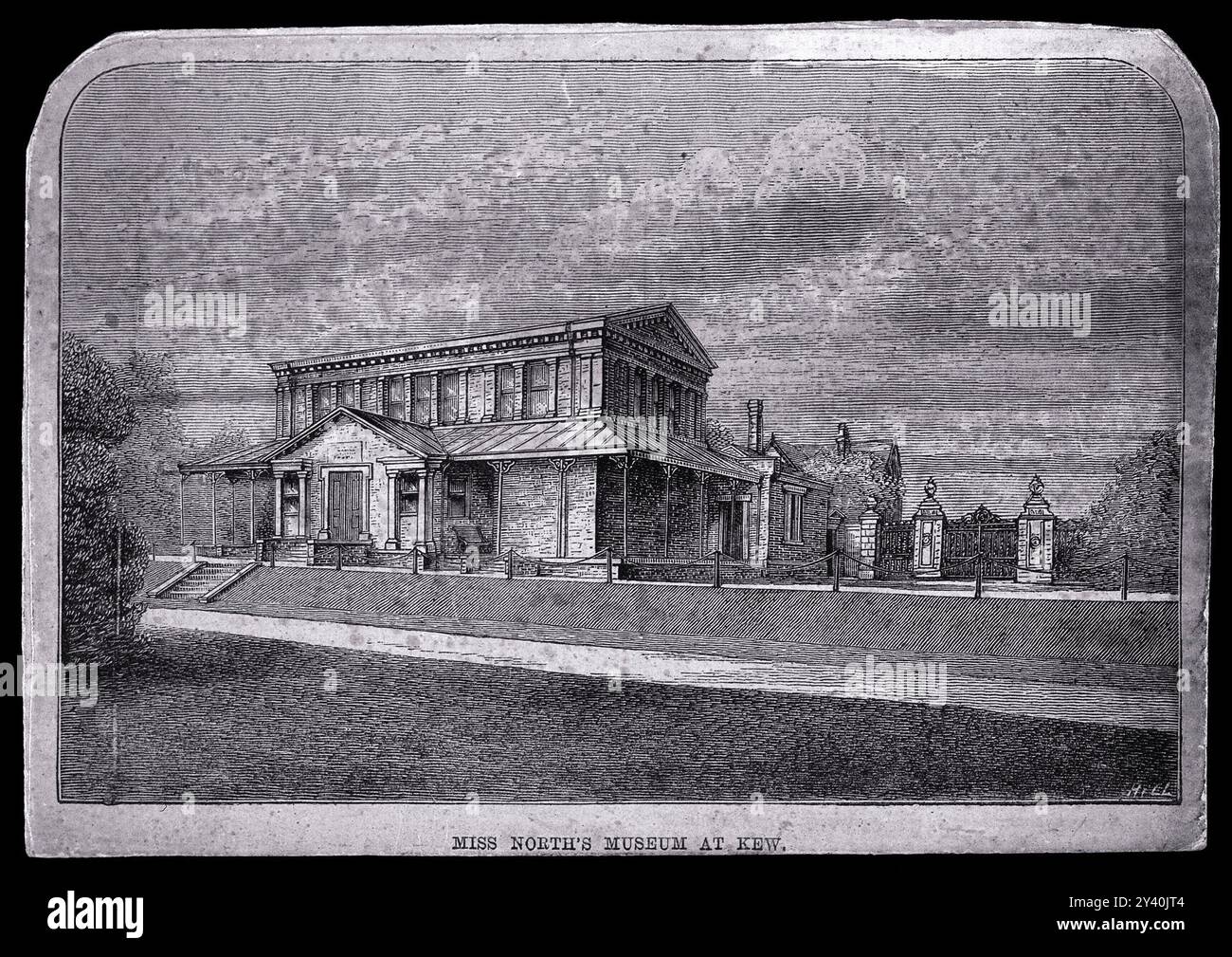 Die Gravur zeigt das Museum von Miss North in Kew, mit detaillierter Architektur und einer ruhigen Umgebung, die einen Moment der botanischen Geschichte einfängt. Stockfoto