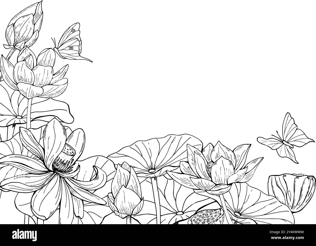 Blühende monochrome Seerose und fliegende Schmetterlinge horizontaler Rahmen. Blumen Blumenstrauß Vektor Hand gezeichnete Illustration von schwarzen Tinten. Stock Vektor