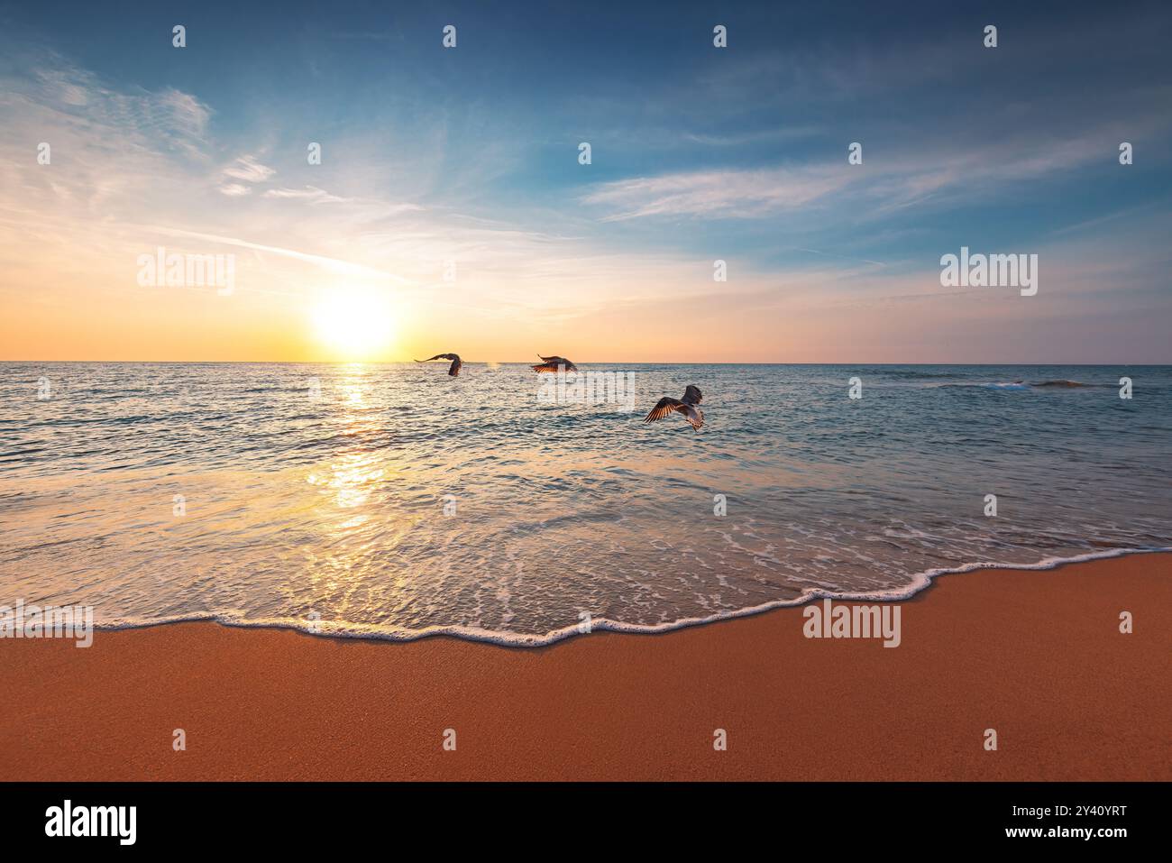 Wunderschöner Sonnenaufgang über dem Meereshorizont und Möwen fliegen über Wellen und Strandufer Stockfoto