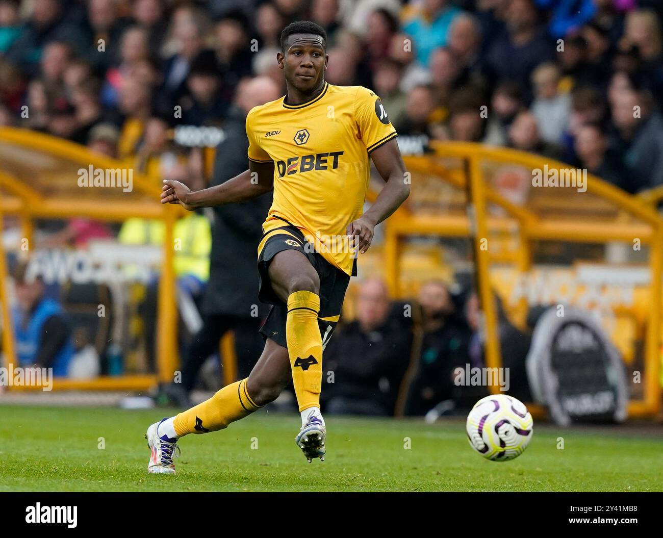 Wolverhampton, Großbritannien. September 2024. Yerson Mosquera von Wolverhampton Wanderers während des Premier League Spiels in Molineux, Wolverhampton. Der Bildnachweis sollte lauten: Andrew Yates/Sportimage Credit: Sportimage Ltd/Alamy Live News Stockfoto