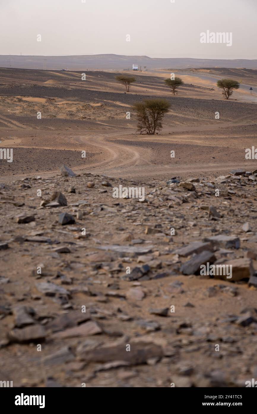 Schotterspuren auf Black Stones bei Merzouga Stockfoto