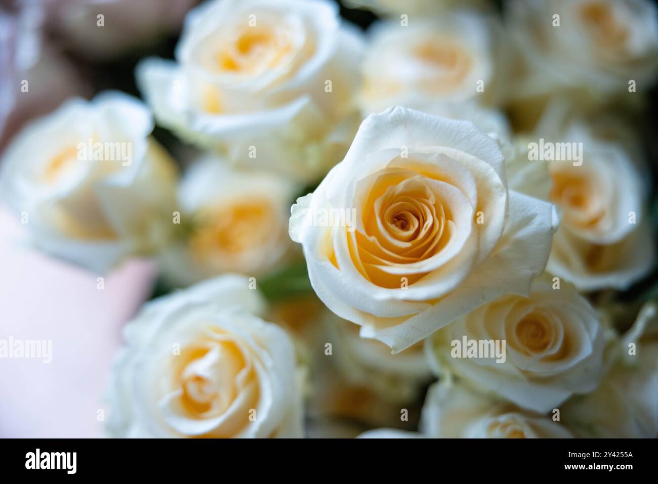 Wunderschöner Blumengarten Blumenstrauß aus Rosen Pfingstrose Design Arrangement für Hochzeitsempfänge Veranstaltungen Veranstaltungsort Makrofotografie Stockfoto