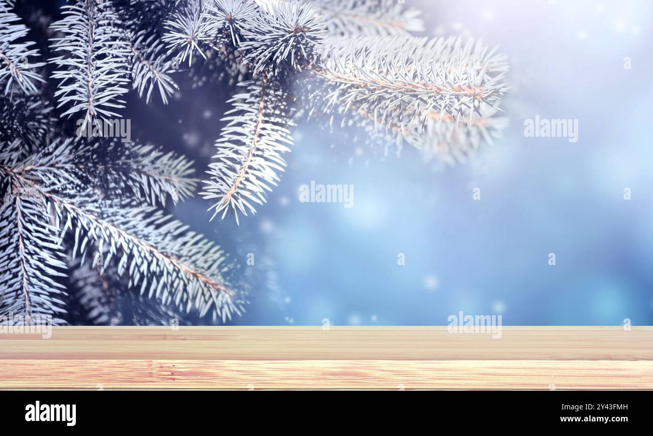 Weihnachtshintergrund. Leere Holztischplatte vor sonnigem Winterwald. Holzterrassenfußboden und Tannenzweig mit Frost bedeckt. Feiertag Xma Stockfoto