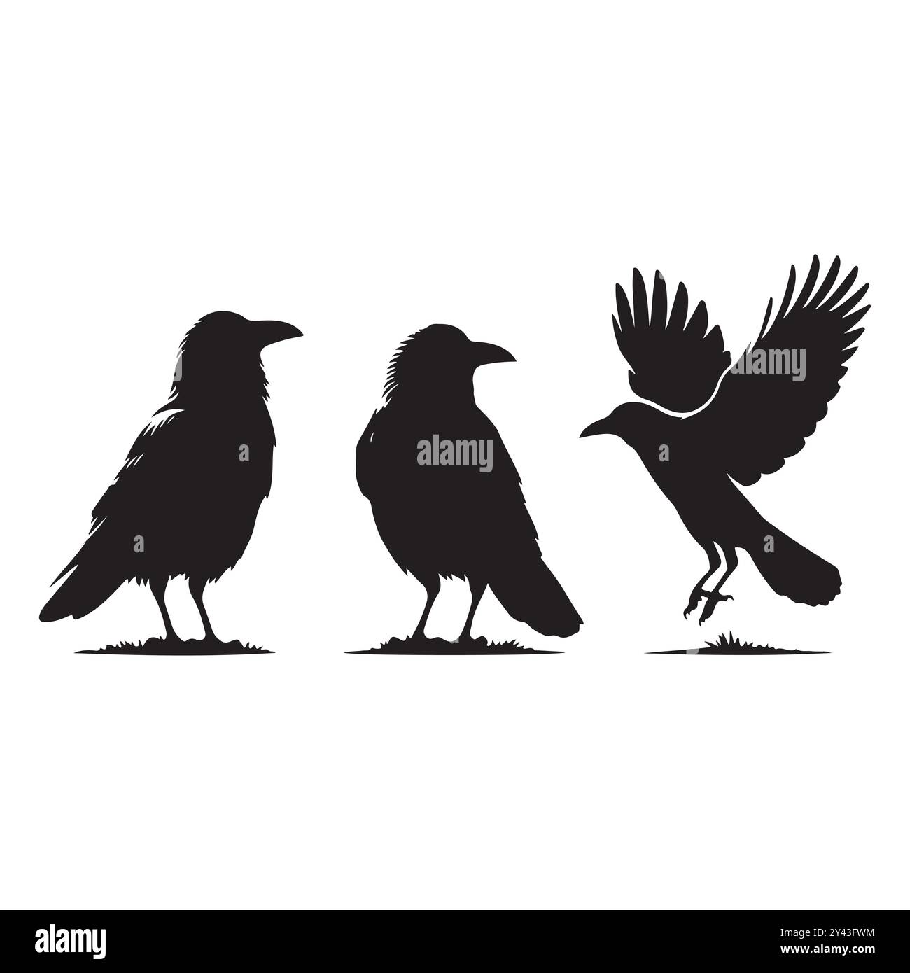 Satz von Krähen-Silhouettenvektor auf weißem Hintergrund Stock Vektor