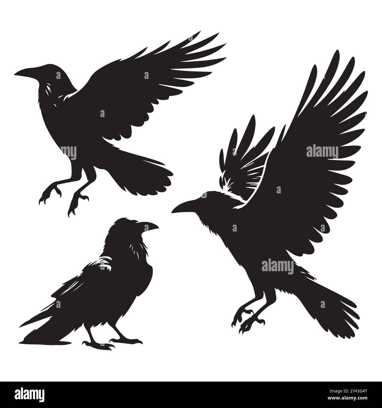 Satz von Krähen-Silhouettenvektor auf weißem Hintergrund Stock Vektor