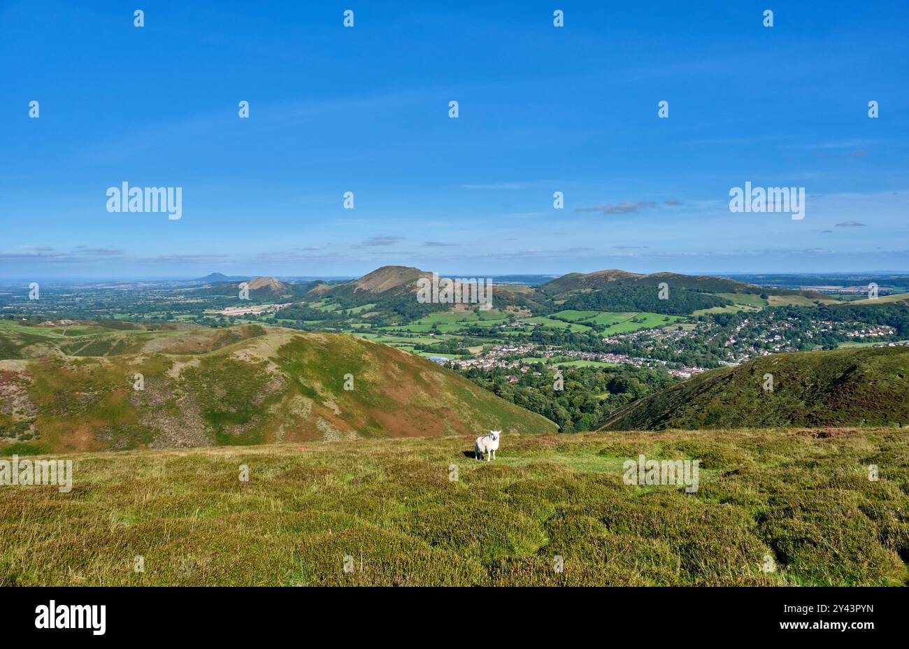 Wrekin, Lawley und Caer Caradoc von Ashlet auf dem Long Mynd, Church Stretton, Shropshire Stockfoto