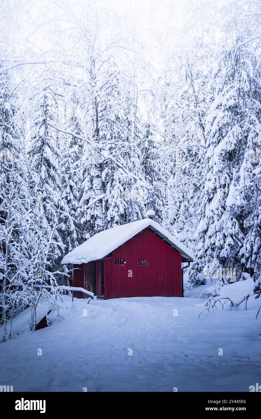 Rote Holzhütte zwischen schneebedeckten Bäumen im Wald Stockfoto