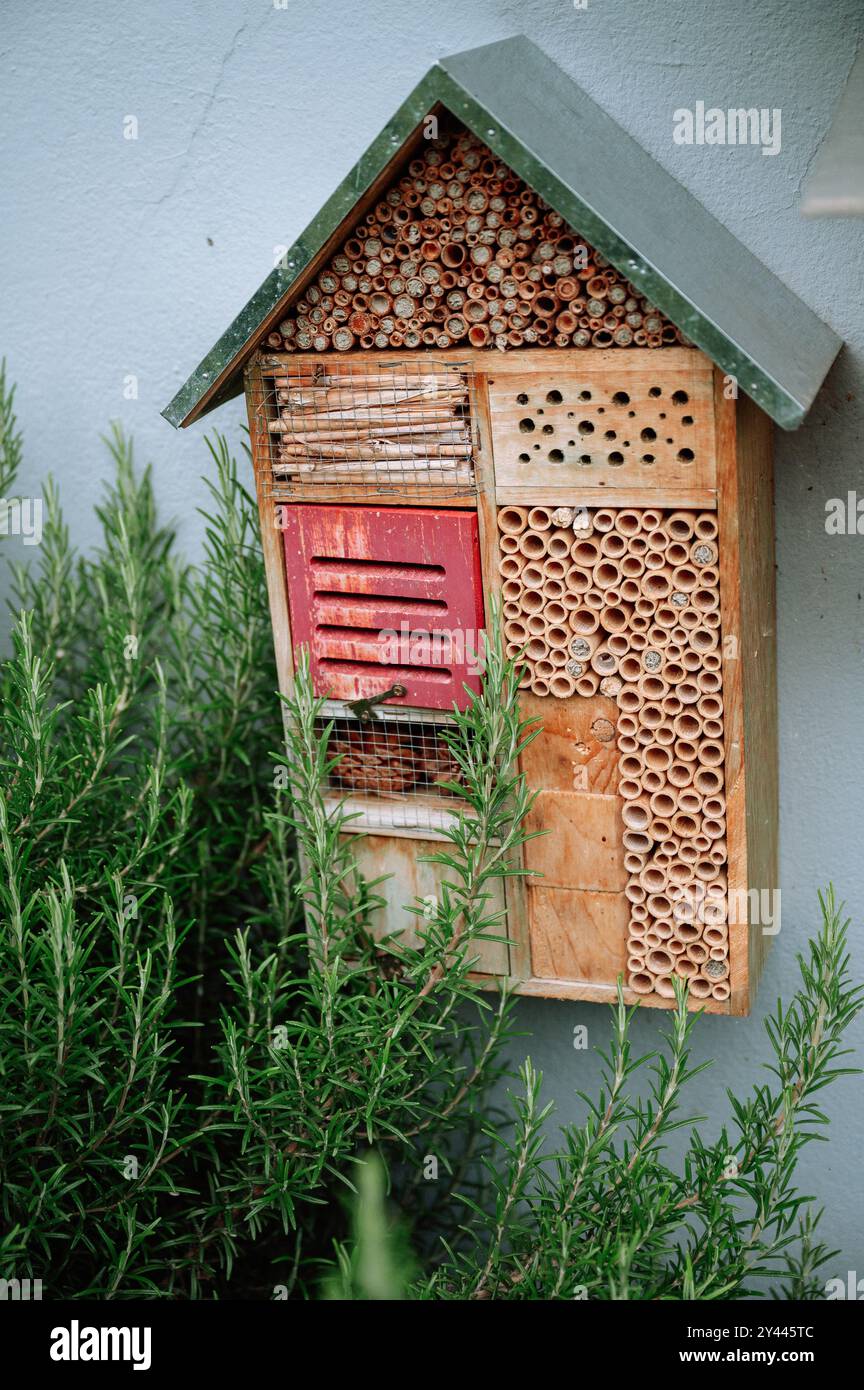 Handgefertigter Garten Wildbienenhaus umgeben von grünem Laub Stockfoto