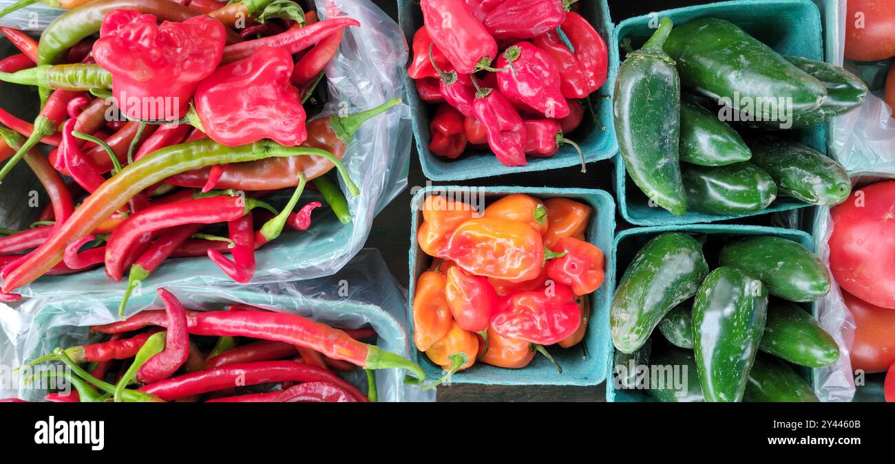 Verschiedene, bunte Chili-Paprika in Körben an einem Marktstand Stockfoto