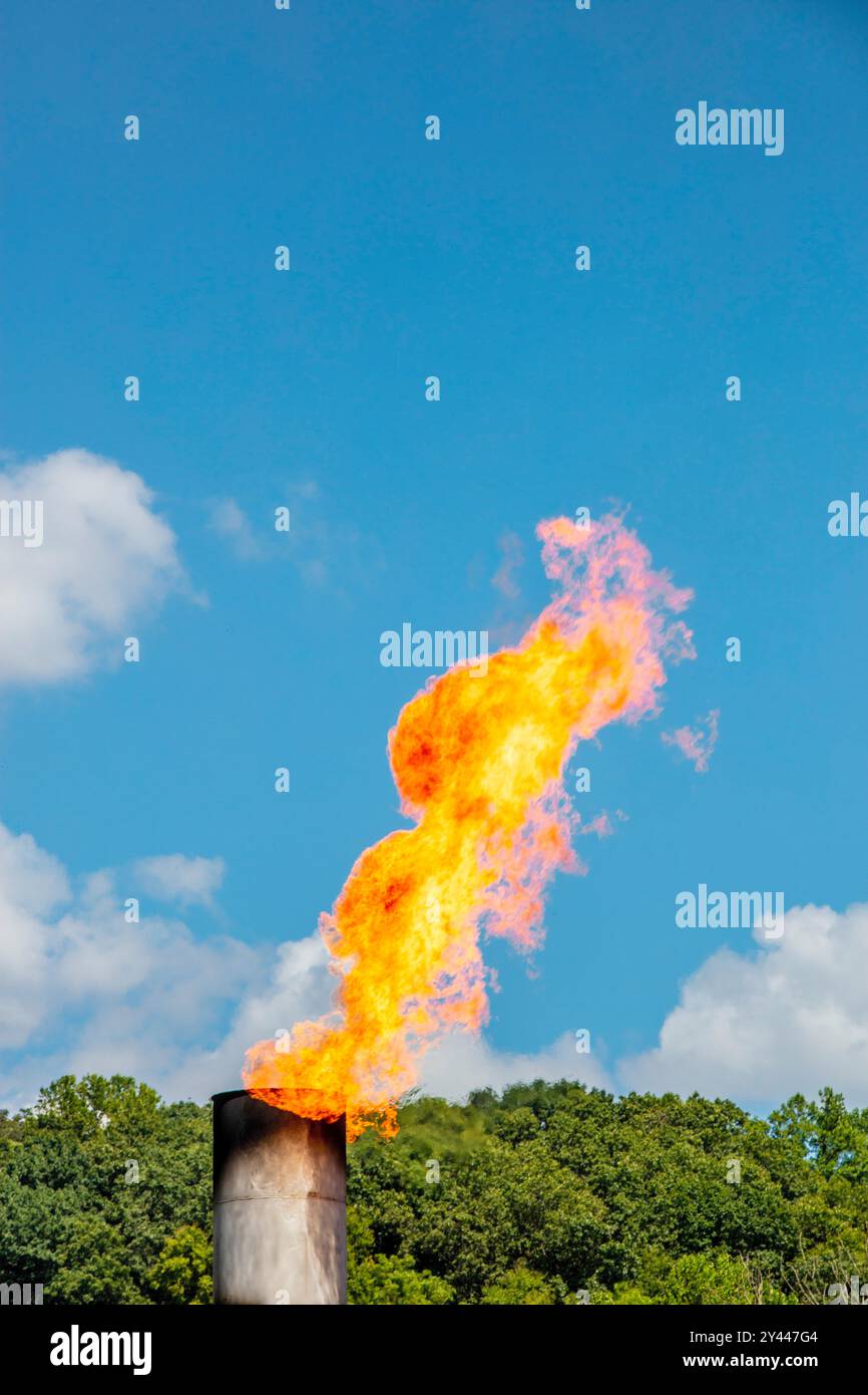 Industriefackel am Chemiestandort Stockfoto