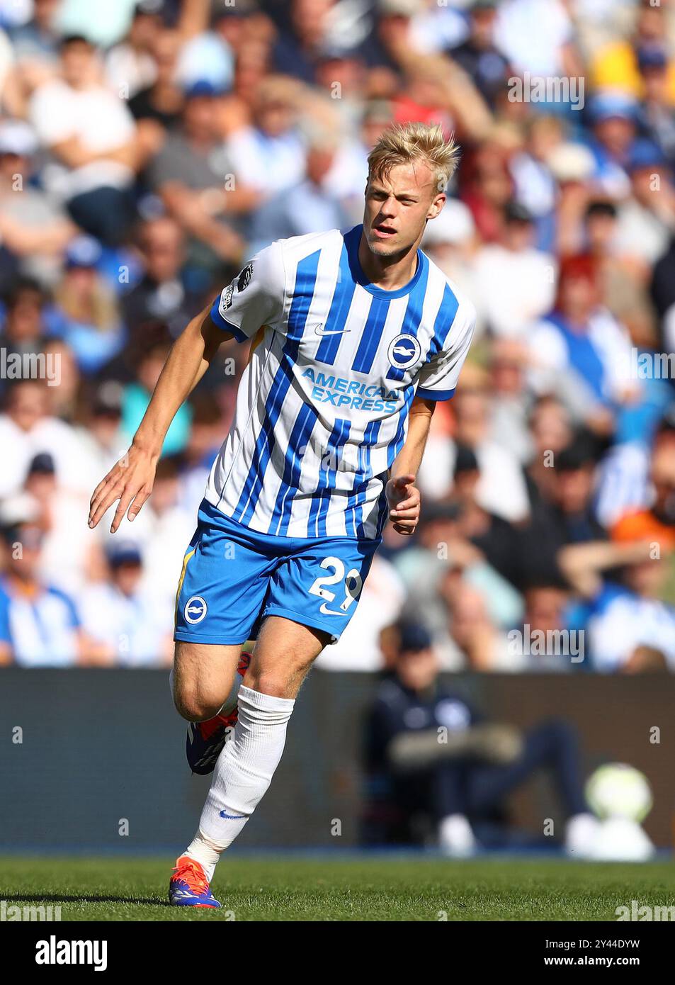 Jan Paul van Hecke von Brighton & Hove Albion - Brighton & Hove Albion / Ipswich Town, Premier League, Amex Stadium, Brighton, Großbritannien - 14. September 2024 nur redaktionelle Verwendung - es gelten Einschränkungen bei DataCo Stockfoto