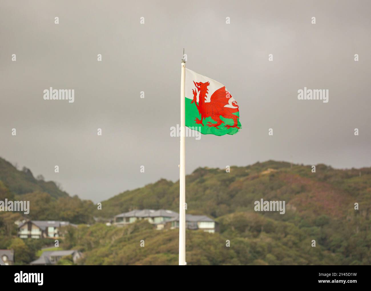 Walisische Drachenfahne auf einem im Wind wehenden Pfosten mit Gebäuden am Hügel im Hintergrund. Stockfoto