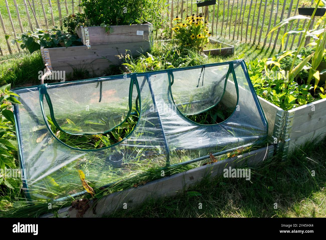 Kleingartenanlage, Garten-Hotbed-Pflanzen, Wachstum Wächst, Hochbeet Stockfoto