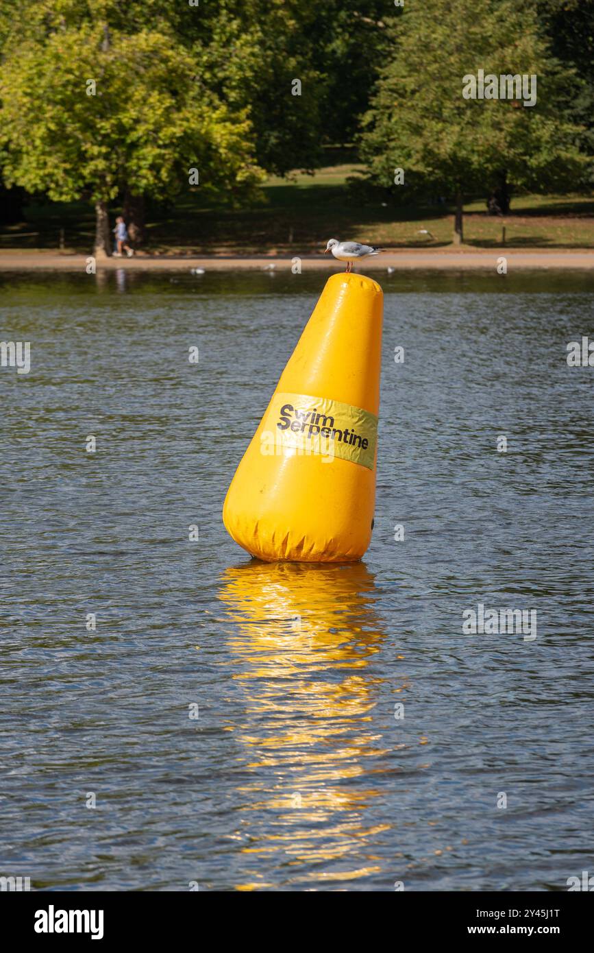 Serpentine Schwimmen. Schwimmende Markierungsboje bereit für das Wochenende Open Water Schwimmen mit Möwen auf der Oberseite Stockfoto