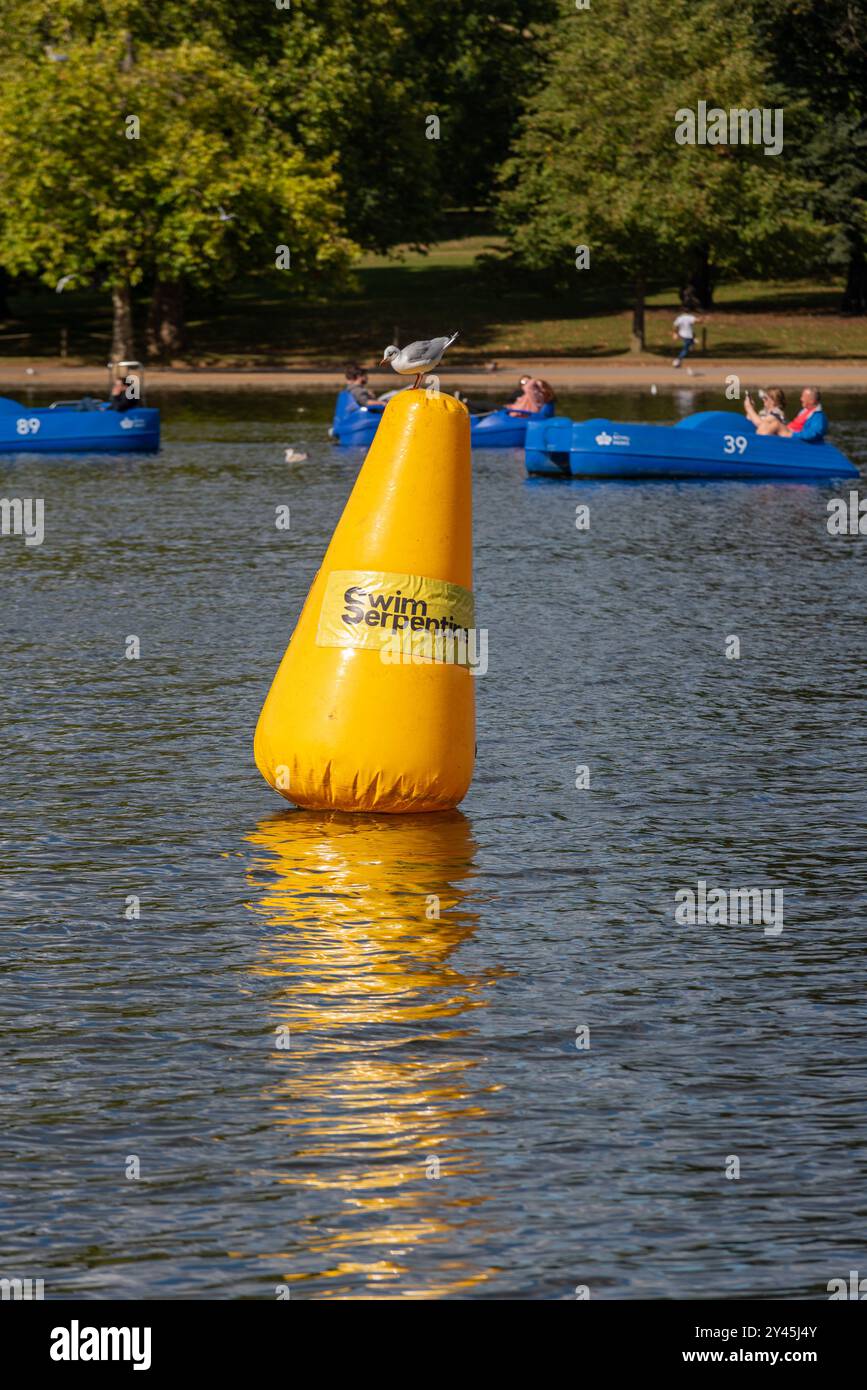 Serpentine Schwimmen. Schwimmende Markierungsboje bereit für das Wochenende Open Water Schwimmen mit Möwen auf der Oberseite. Fahren Sie mit dem Boot Stockfoto